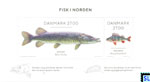Denmark Stamps 2018 - Nordic Fish