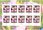 Germany Stamps - Centaury Flowers