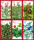 Iceland Stamps - Wild Berrie