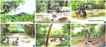 2019 Sri Lanka Stamps Miniature Sheet - Wasgamuwa National Park