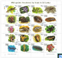 2020 Sri Lanka Stamps - World Wildlife Day, Minisheet