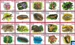 Sri Lanka Stamps 2020 - World Wildlife Day