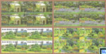 Sri Lanka Stamps 2022 - Royal Botanical Gardens Peradeniya