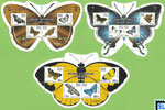 Sri Lanka Stamps Miniature Sheet 2022 - Endemic Butterflies