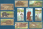 Sri Lanka Stamps 2025 - Minneriya National Park