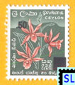 2007 Sri Lanka Surcharge Stamps - Star Orchids