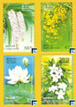 Sri Lanka Stamps - Provincial Flowers