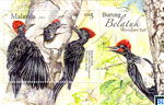 Malaysia Stamps - Woodpeckers