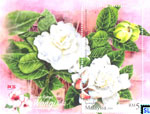 Malaysia Stamps Miniature Sheet - 2016 Scented Flowers, Series II