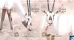Oman Stamps 2016 - Oryx