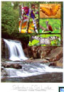Sri Lanka UNESCO Postcard - Sinharaja Forest Reserve