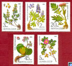 Russia Stamps - Flowers