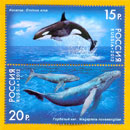 Russia Stamps - Whales