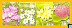 South Korea Stamps - Flowers