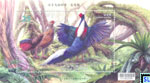 Taiwan Stamps - Swinhoes Pheasant, Birds