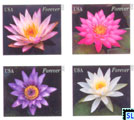 USA Stamps - Water Lilies