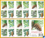 USA Stamps - Holyday Evergreen